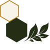 plantas csn